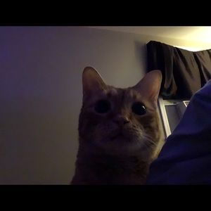 Meet your Posher, Ryann